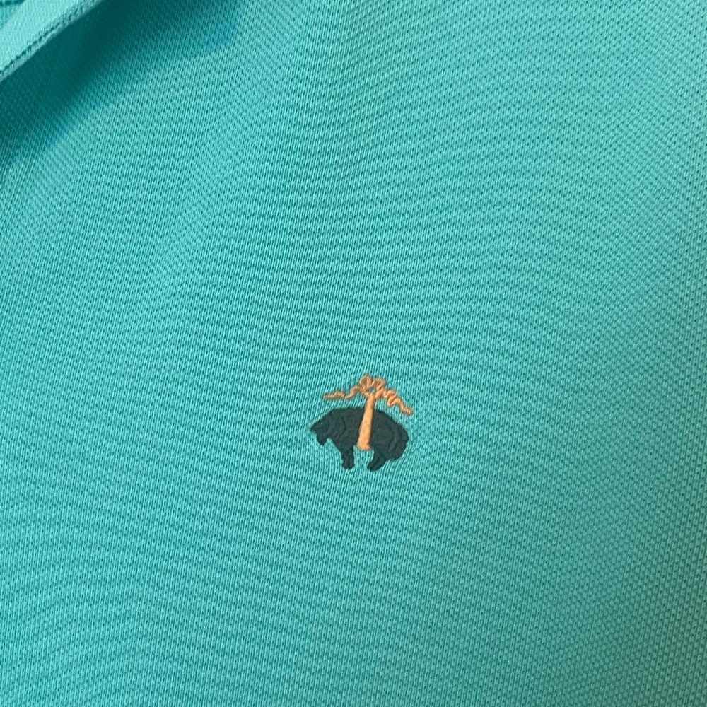 Brooks Brothers teal polo